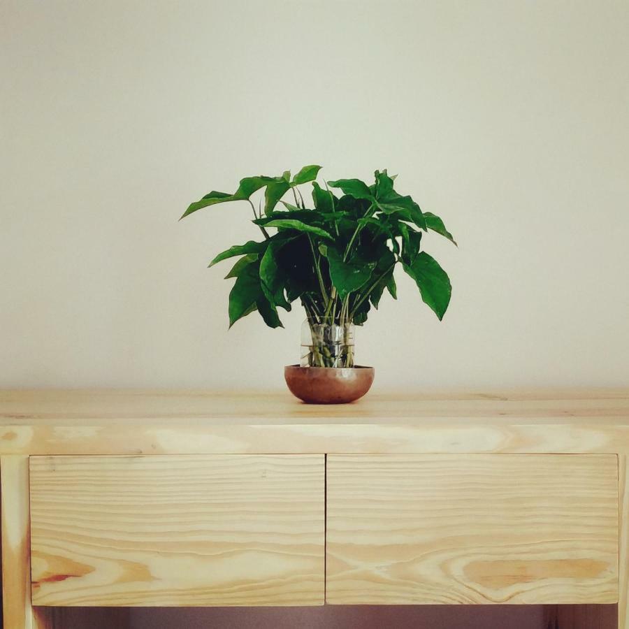 Sayami Home Lalitpur Екстериор снимка